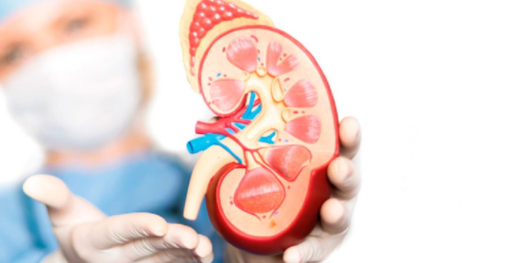 বাড়ছে কিডনি রোগ, চিকিৎসার খরচ আকাশছোঁয়া