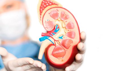 বাড়ছে কিডনি রোগ, চিকিৎসার খরচ আকাশছোঁয়া