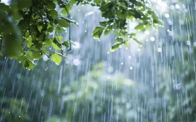 দেশের পাঁচ অঞ্চলে দুপুরের মধ্যে হতে পারে বৃষ্টি