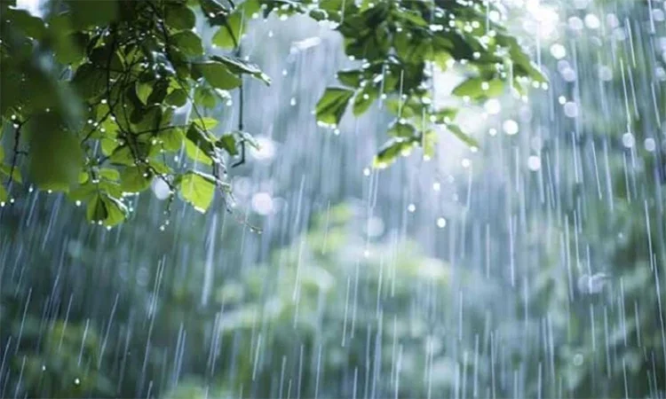 দেশের পাঁচ অঞ্চলে দুপুরের মধ্যে হতে পারে বৃষ্টি