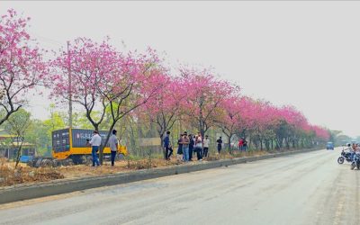 ফিরতি ট্রেনযাত্রার টিকিট বিক্রি শুরু ১৩ মার্চ