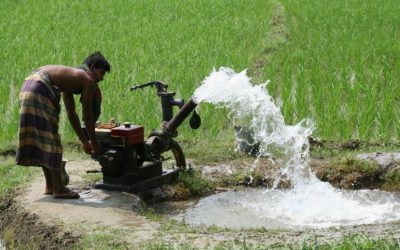 তেল না পেয়ে চরম ভোগান্তিতে পড়েছেন চালক ও কৃষকরা
