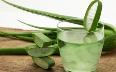 সুস্বাদু অ্যালোভেরা শরবত তৈরির রেসিপি