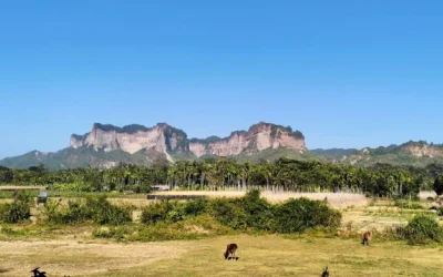 টেকনাফে অপহরণের পর তিনজনকে গলা কেটে হত্যা