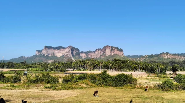 টেকনাফে অপহরণের পর তিনজনকে গলা কেটে হত্যা