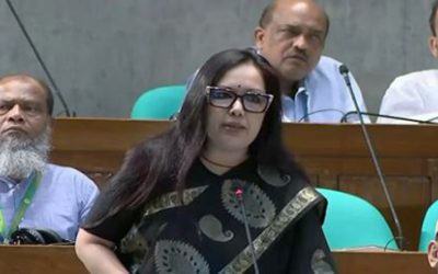 ১৫ বছরে শেয়ারবাজারে ১ লাখ কোটি টাকা লুট:রুমিন ফারহানা