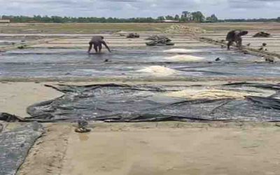 কালবৈশাখী ঝড়ে কোটি টাকার লবণ মিশে গেছে পানিতে,ক্ষতির মুখে চাষিরা