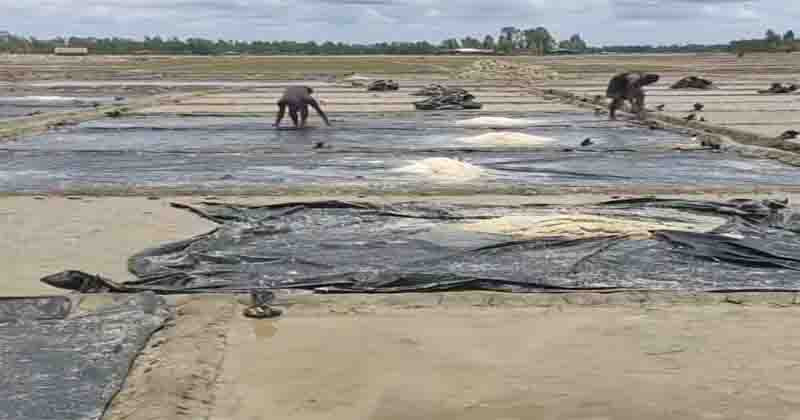 কালবৈশাখী ঝড়ে কোটি টাকার লবণ মিশে গেছে পানিতে,ক্ষতির মুখে চাষিরা