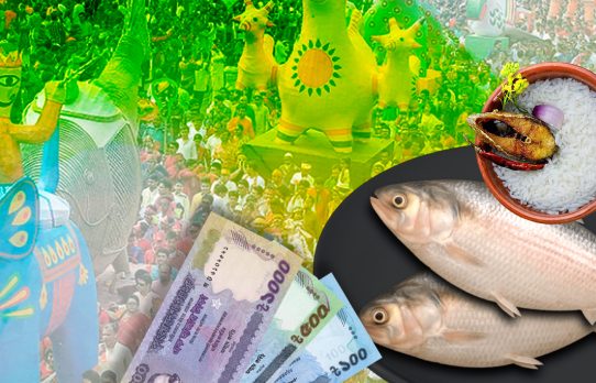 বৈশাখী উৎসবে ইলিশ নিয়ে বৈষম্য
