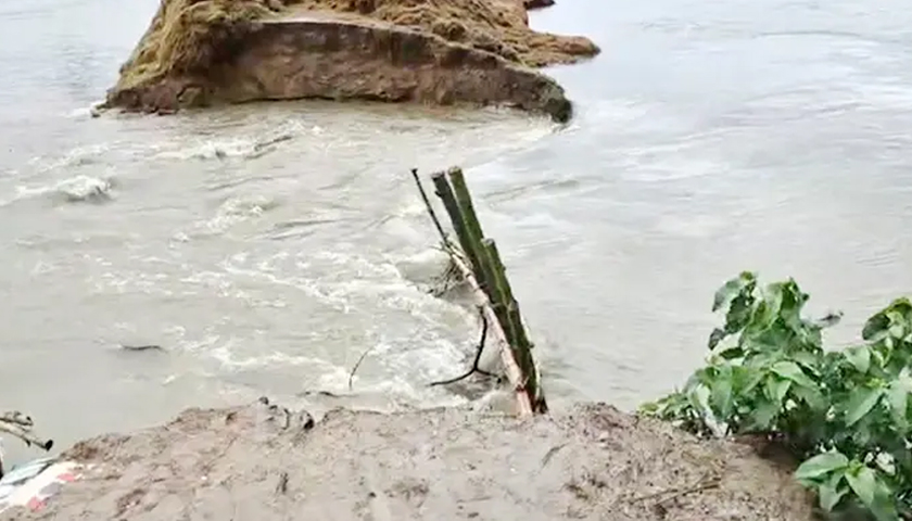 বাঁধ ভেঙে পানি ঢুকছে সুনামগঞ্জের এরনবিল হাওরে