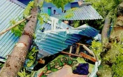 জামালপুরে কালবৈশাখী ঝড়ে গাছ পড়ে মা ও দুই মেয়ের মৃত্যু