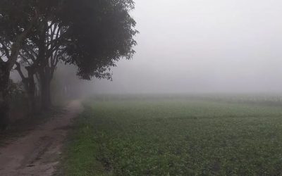 চৈত্র মাসে পৌষের কুয়াশা,ফসল নিয়ে চিন্তিত চাষিরা
