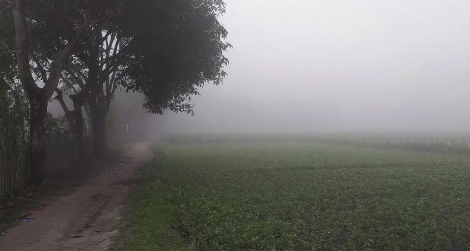চৈত্র মাসে পৌষের কুয়াশা,ফসল নিয়ে চিন্তিত চাষিরা