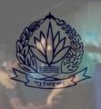 অভিযানে গিয়ে বারবার আক্রান্ত হচ্ছে পুলিশ