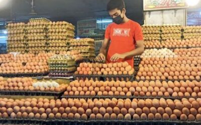 ডিমের বাজার কেন অস্থির, দাম বাড়ালো কারা
