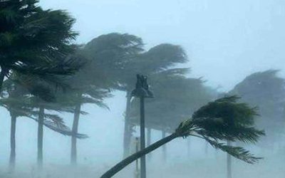 সন্ধ্যার মধ্যে যেসব জেলায় ঝড়ের আভাস
