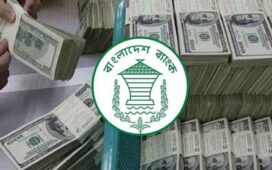 ১৯ দিনে এলো ২৪৮ কোটি ডলার রেমিট্যান্স