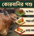 কোরবানির বাজারে মন্দার আভাস