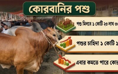 কোরবানির বাজারে মন্দার আভাস