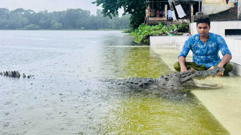 বাগেরহাটে মাজারের দিঘি থেকে সরিয়ে নেওয়া হলো কুমির