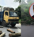 আসলাম চৌধুরীর প্রার্থিতা বাতিলের খবরে গাছ ফেলে মহাসড়ক অবরোধ