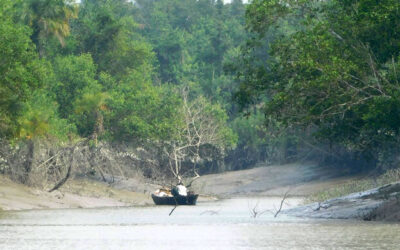 আজ থেকে তিন মাস প্রবেশ করা যাবে না সুন্দরবনে