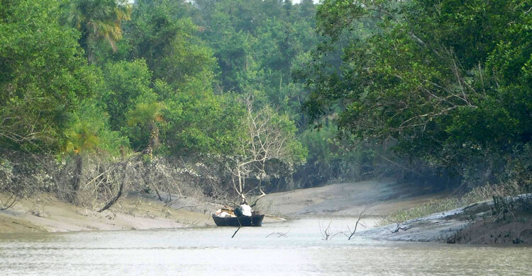 আজ থেকে তিন মাস প্রবেশ করা যাবে না সুন্দরবনে