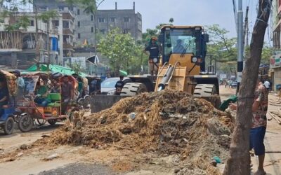 দিয়াবাড়ি পশুর হাটে বর্জ্যের স্তূপ, নোংরা পানিতে মশা-মাছির উপদ্রব