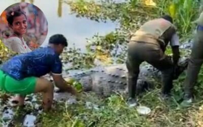 কুমির সরিয়ে নেওয়ায় খানজাহান আলী মাজারের খাদেমের ক্ষোভ, ফিরিয়ে দেওয়ার দাবি
