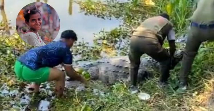 কুমির সরিয়ে নেওয়ায় খানজাহান আলী মাজারের খাদেমের ক্ষোভ, ফিরিয়ে দেওয়ার দাবি