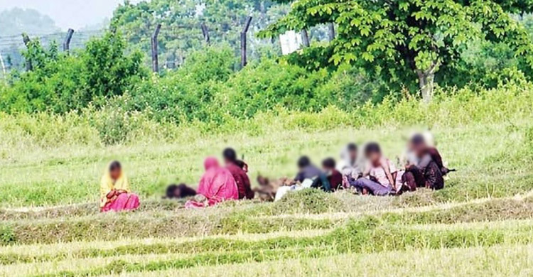 সীমান্তে ঠেলে পাঠানো ১০ জনকে সরিয়ে নিয়েছে বিএসএফ
