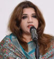 পুশইন বন্ধে ভারতকে ১০-১২টি চিঠি দিয়েছে সরকার: পররাষ্ট্র প্রতিমন্ত্রী