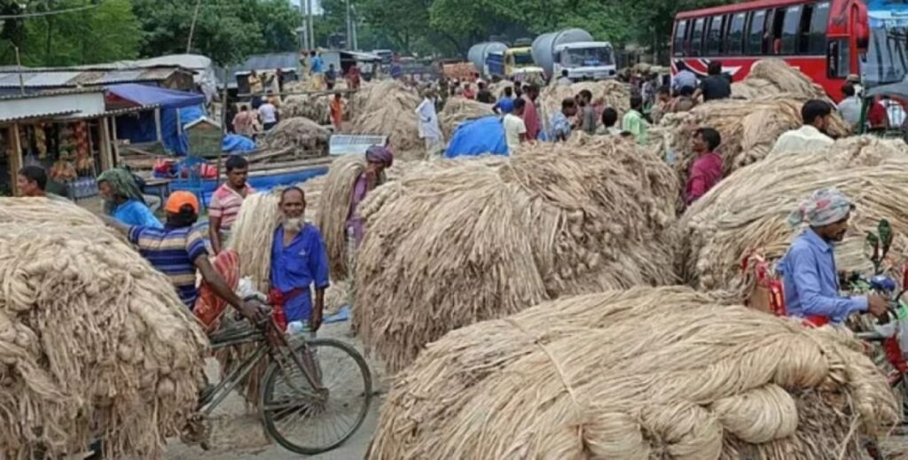 আন্তর্জাতিক বাজারে বাংলাদেশের পাটের বাধা ভ্যাট-ট্যাক্স