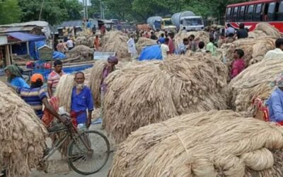 আন্তর্জাতিক বাজারে বাংলাদেশের পাটের বাধা ভ্যাট-ট্যাক্স