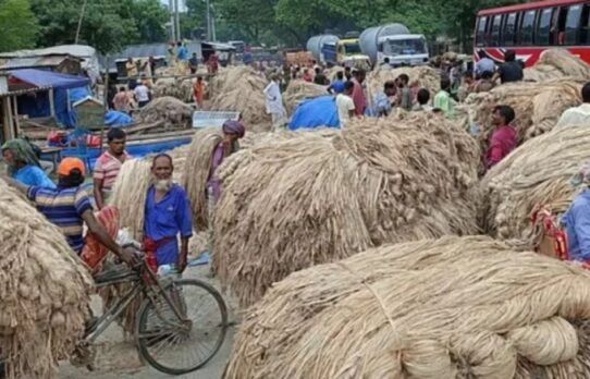 আন্তর্জাতিক বাজারে বাংলাদেশের পাটের বাধা ভ্যাট-ট্যাক্স