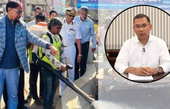 মশা মারা শিখতে আমেরিকা নয়, সন্ধ্যার পর ডোবার পাশে দাঁড়াতে মেয়রকে পরামর্শ প্রধানমন্ত্রীর