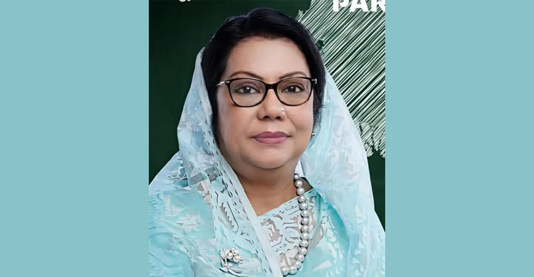 বদলে যাচ্ছে দেশের বিমান ও পর্যটন খাত, ডিসেম্বরে আসছে বড় চমক