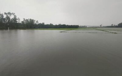 চট্টগ্রামে বন্যায় ক্ষতি ১৫০ কোটি, ভেসে গেছে মাছ ভেঙেছে সড়ক