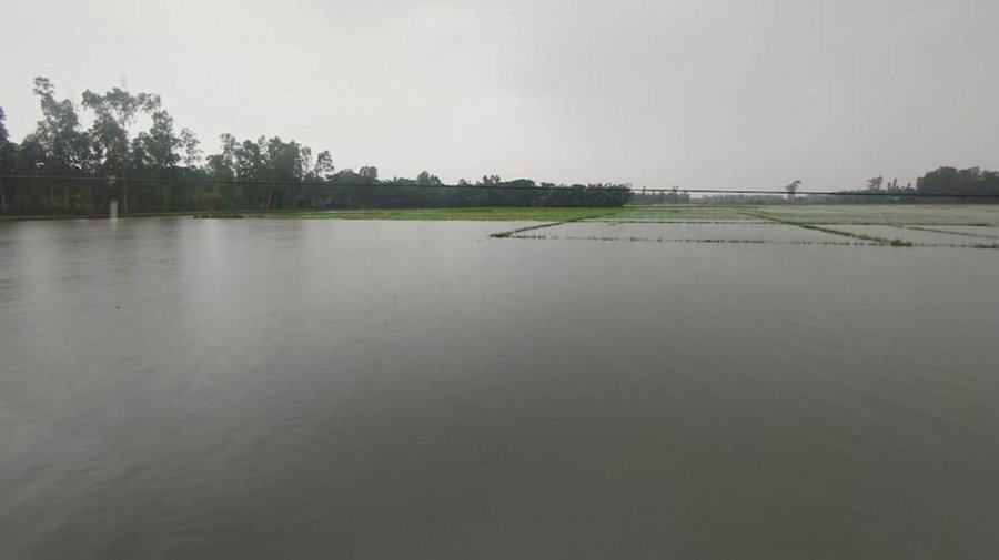 চট্টগ্রামে বন্যায় ক্ষতি ১৫০ কোটি, ভেসে গেছে মাছ ভেঙেছে সড়ক