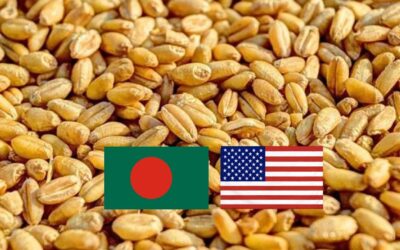 বেশি দামে যুক্তরাষ্ট্র থেকে গম কিনবে সরকার
