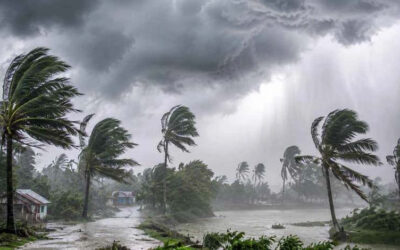 ২৪ জুলাই পর্যন্ত থামছে না বৃষ্টি, উত্তর-পূর্বাঞ্চলে এখনো বন্যার শঙ্কা