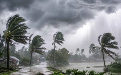 দুপুরেরর মধ্যে ১৬ জেলায় ঝড়ের আশঙ্কা