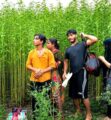 কুষ্টিয়া সীমান্তে ৮ জনকে পুশ ইনের চেষ্টা প্রতিহত করল বিজিবি