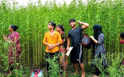 কুষ্টিয়া সীমান্তে ৮ জনকে পুশ ইনের চেষ্টা প্রতিহত করল বিজিবি