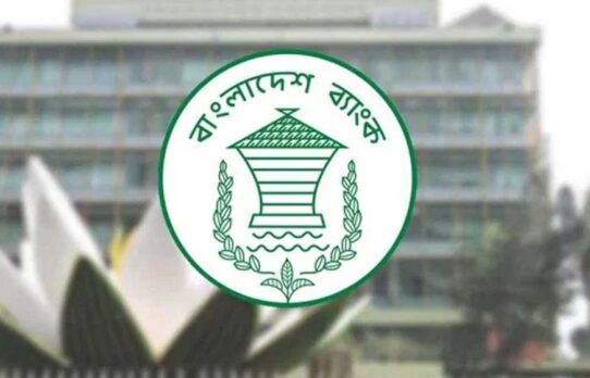 খেলাপি ঋণ ও তারল্যসংকট নিয়ে কেন্দ্রীয় ব্যাংকের সতর্কতা