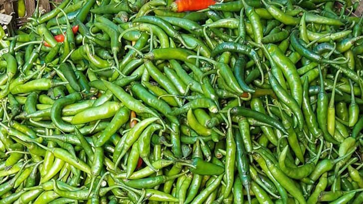রংপুরে কাঁচামরিচের কেজি ২০০ টাকা