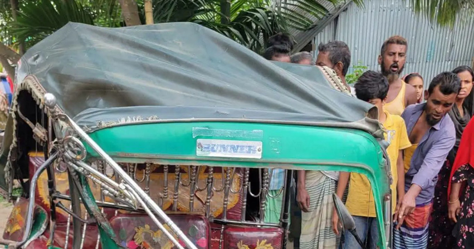 ময়মনসিংহে ট্রাক ও সিএনজিচালিত অটোরিকশার মুখোমুখি সংঘর্ষে দুইজন নিহত