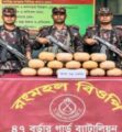 পৃথক অভিযানে কুষ্টিয়ার সীমান্তে ৬ কোটি টাকার জাল ও গাঁজা জব্দ