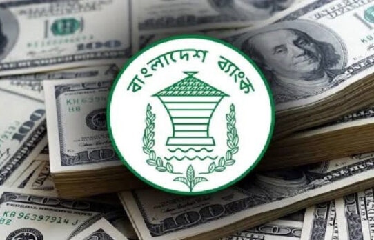 প্রকল্পে বৈদেশিক মুদ্রায় ব্যাংক গ্যারান্টি দেয়ার সুযোগ পেল ব্যাংকগুলো