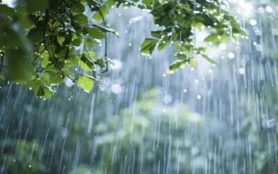 আট বিভাগের কিছু জায়গায় অস্থায়ীভাবে মাঝারি বৃষ্টির সম্ভাবনা